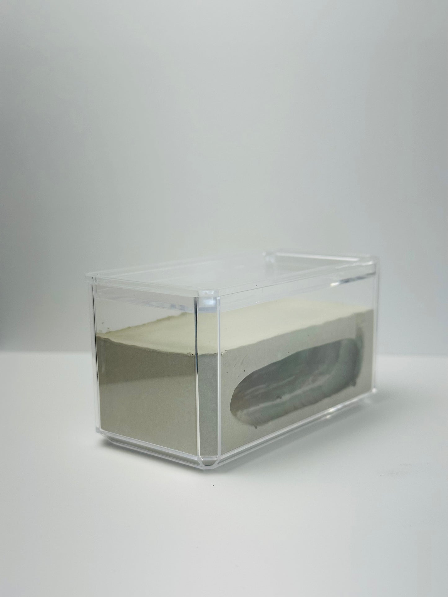 Rectangle Cement Formicarium