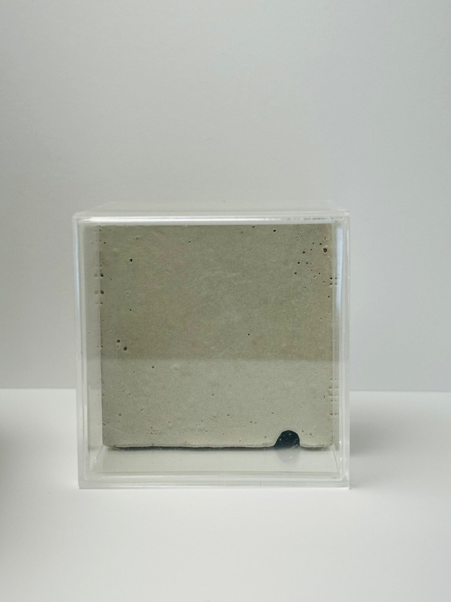 Box Cement Formicarium