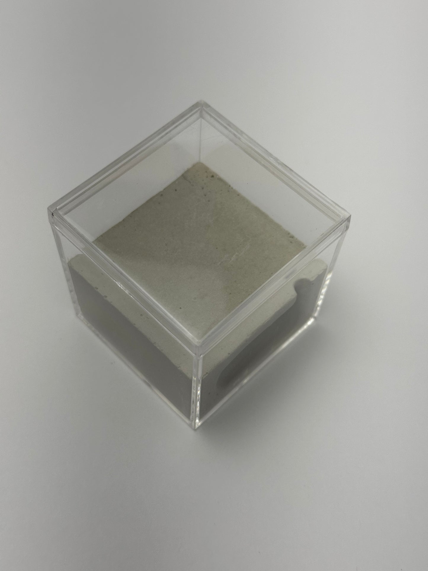 Box Cement Formicarium