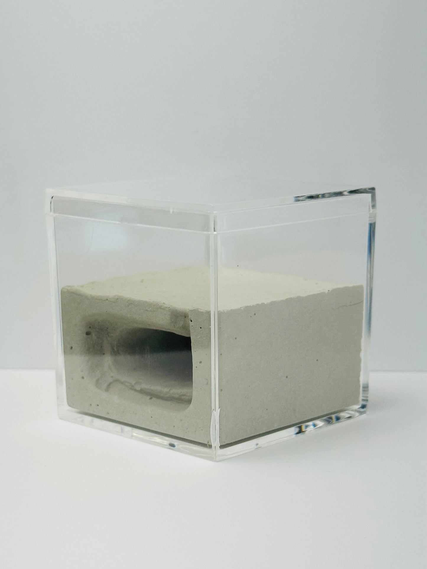 Box Cement Formicarium