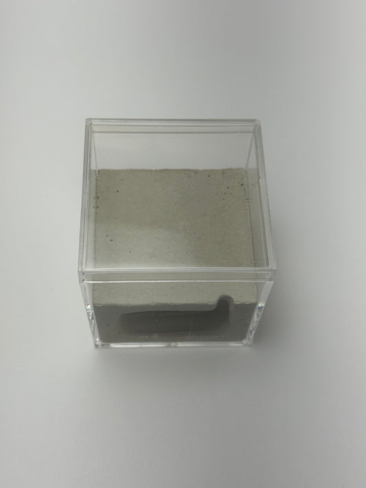 Box Cement Formicarium