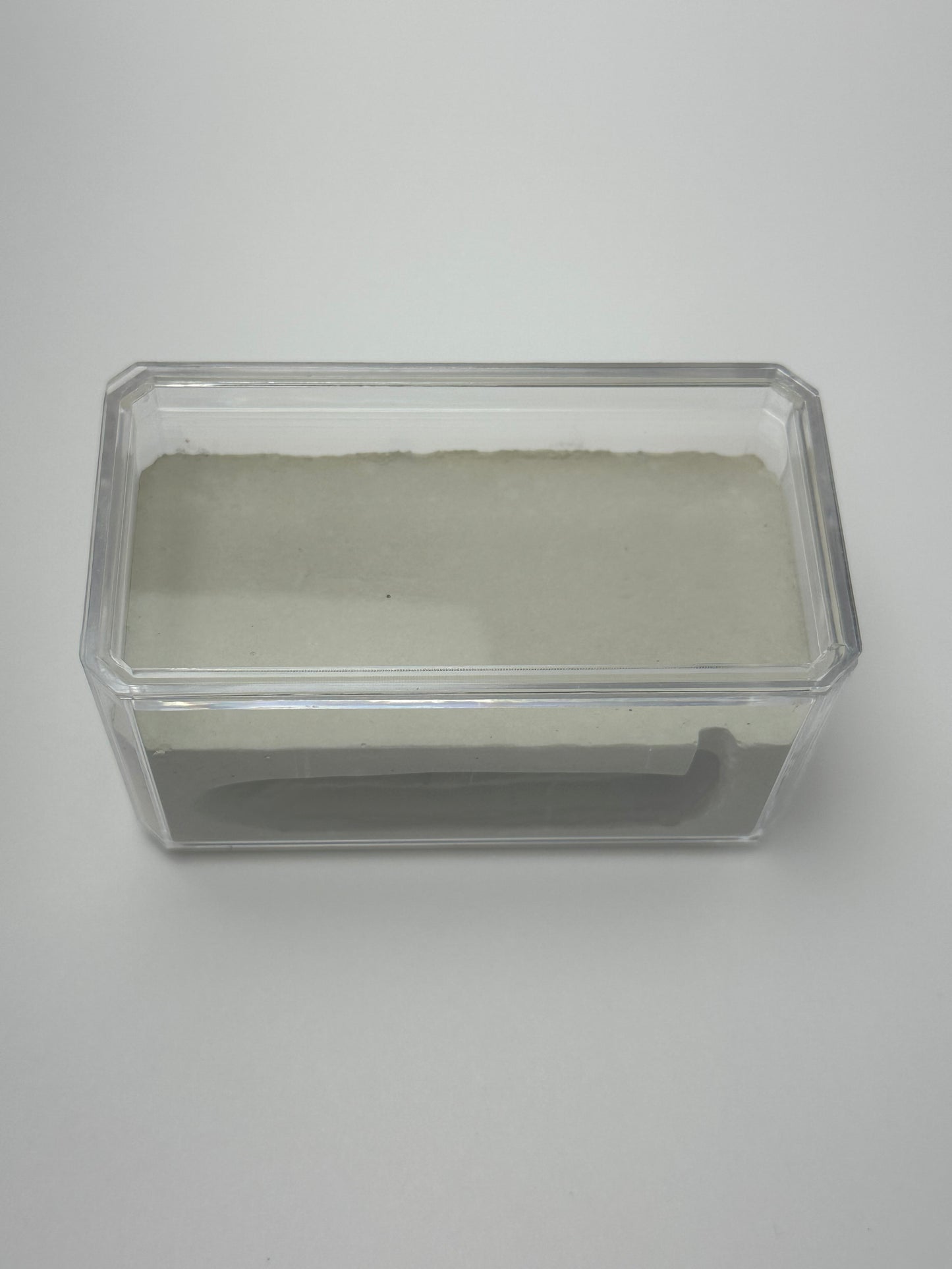 Rectangle Cement Formicarium