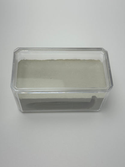 Rectangle Cement Formicarium