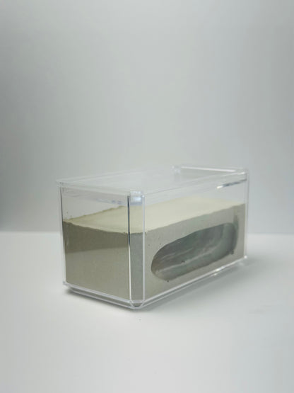 Rectangle Cement Formicarium