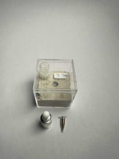 Small Formicarium