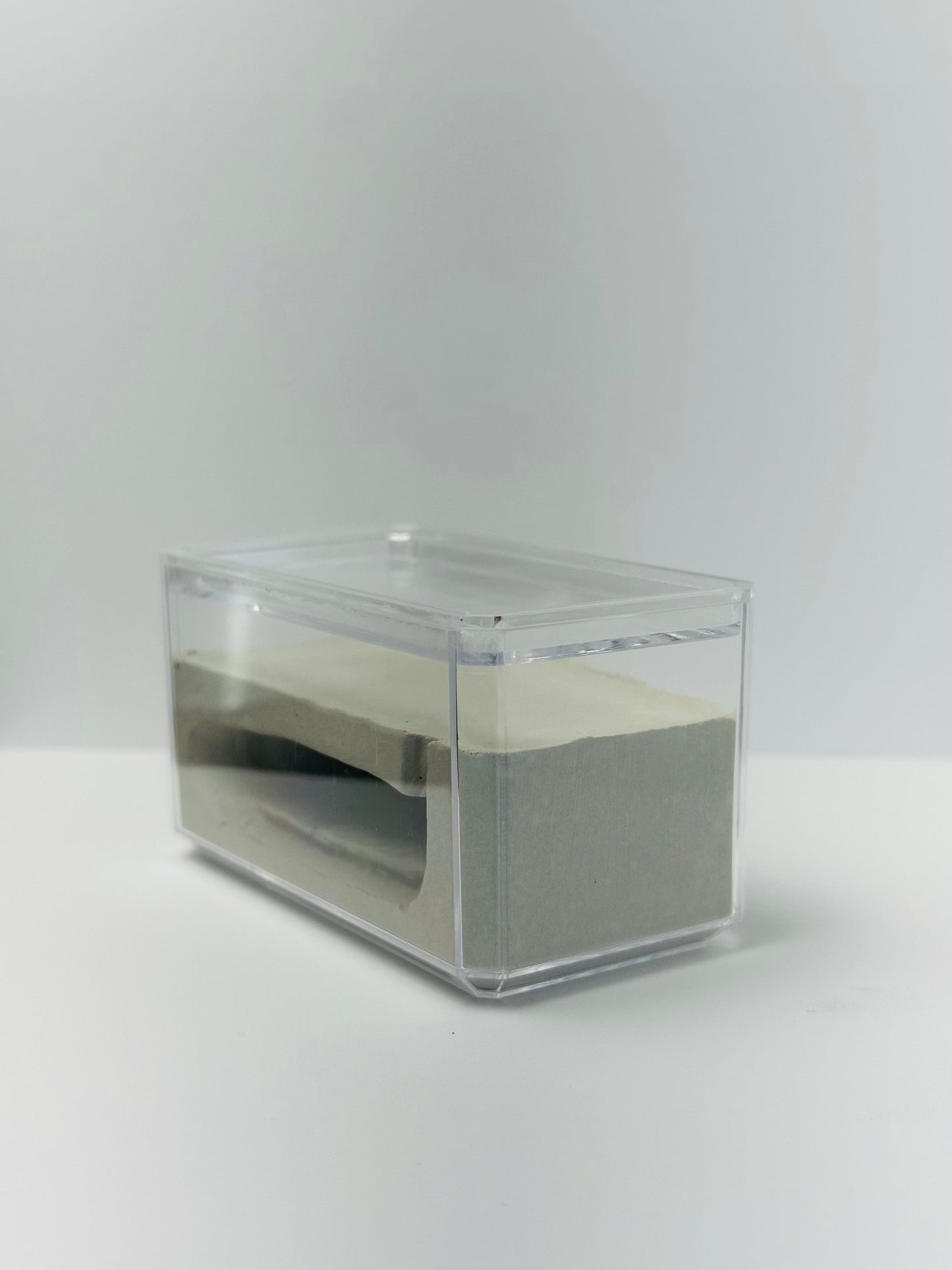 Rectangle Cement Formicarium