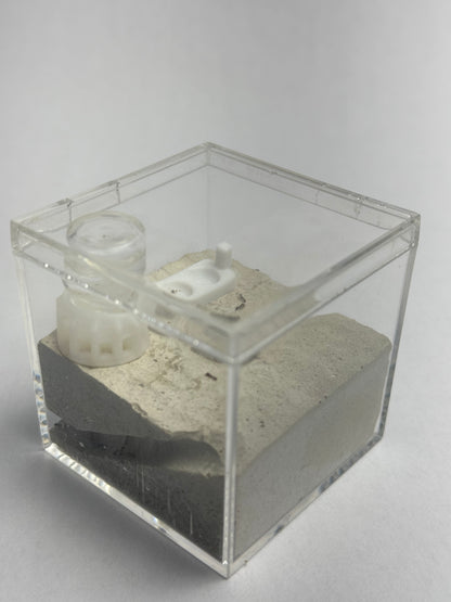 Small Formicarium