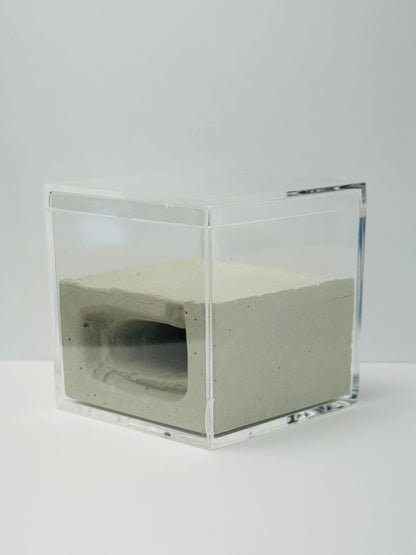 Box Cement Formicarium