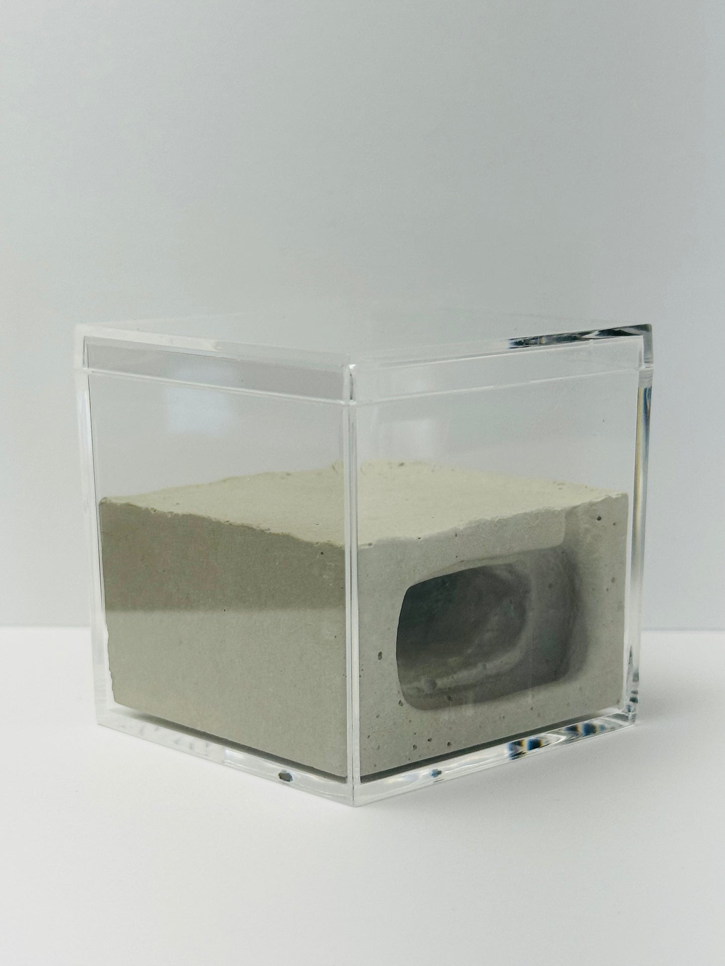 Box Cement Formicarium