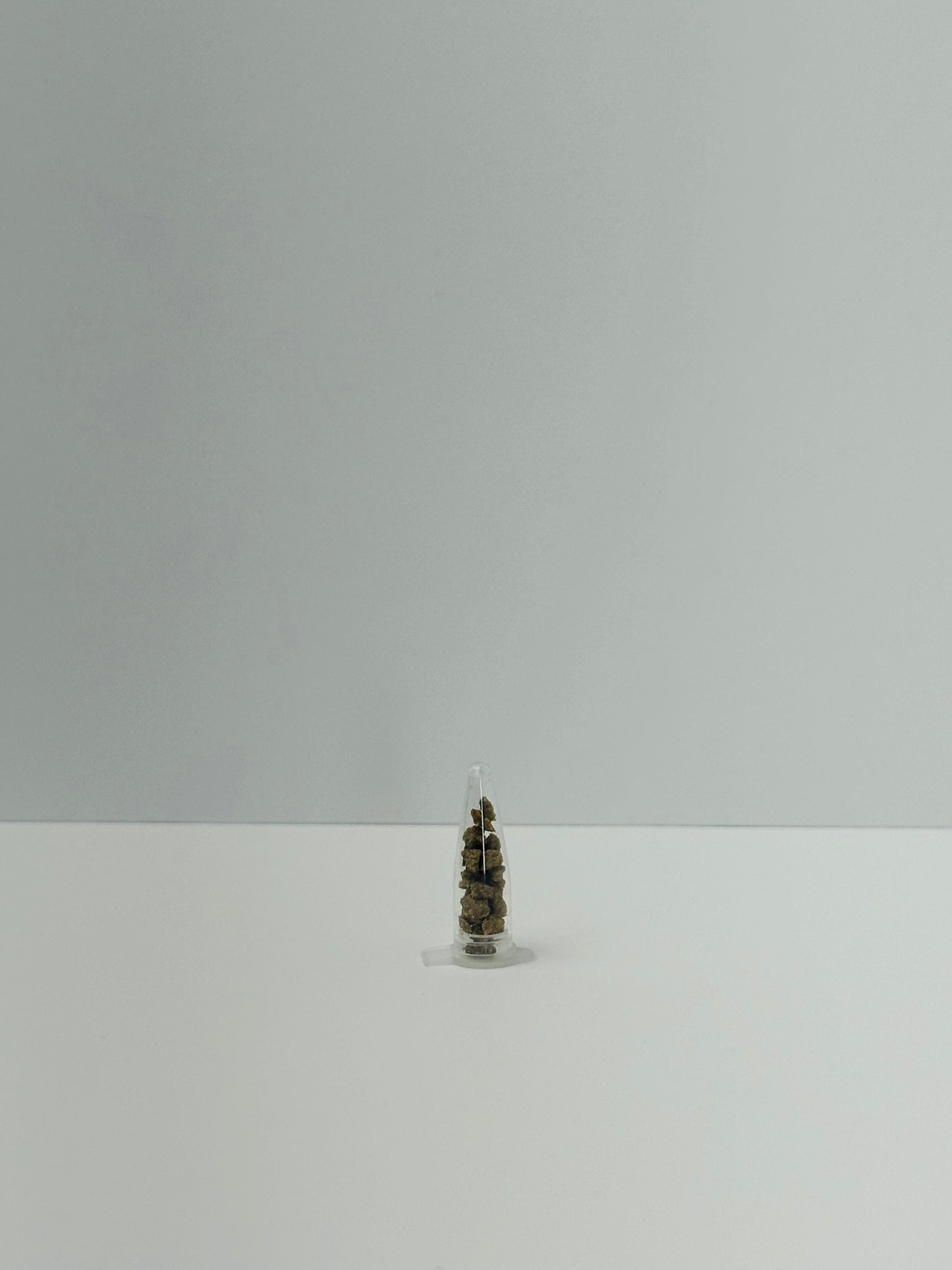 Ant Food