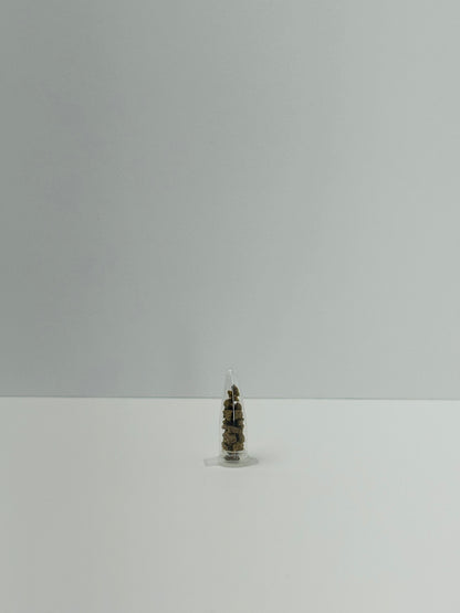 Ant Food