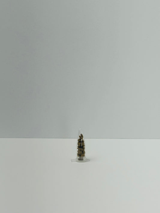 Ant Food