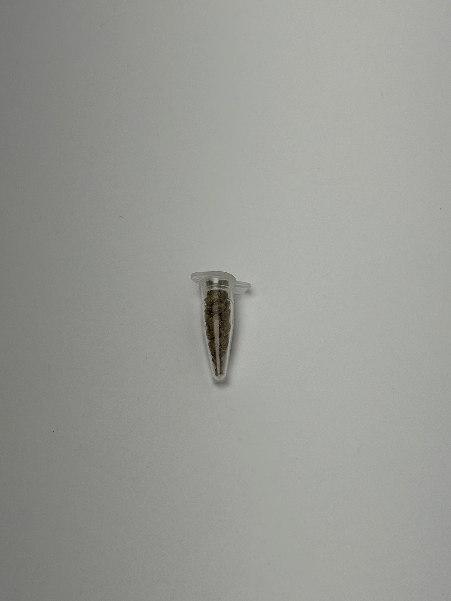 Ant Food