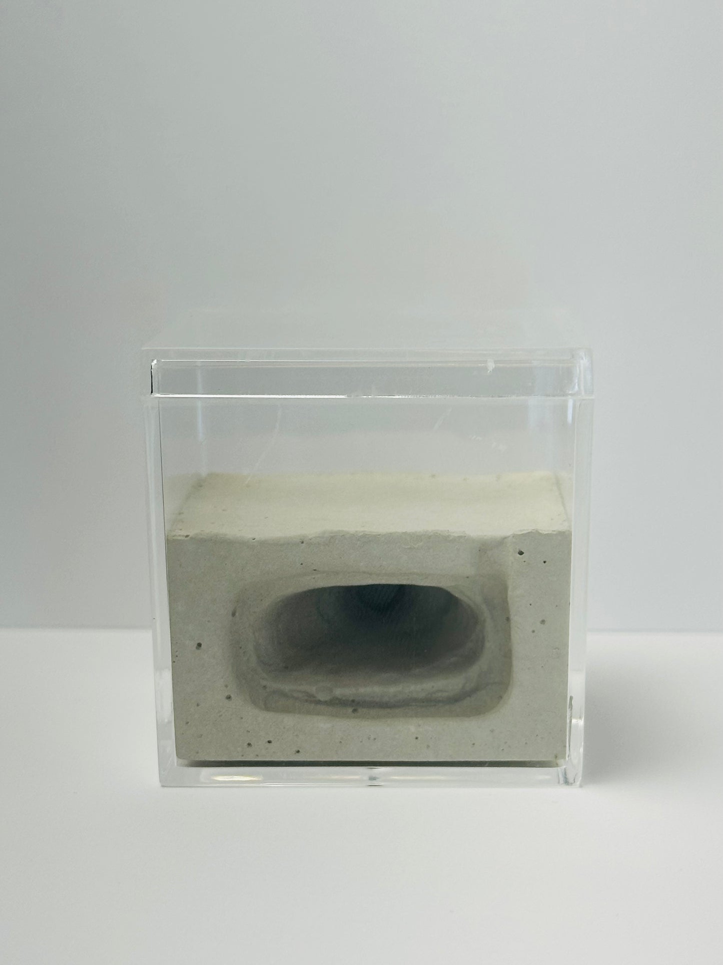 Box Cement Formicarium