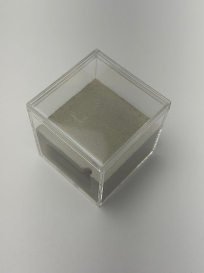 Box Cement Formicarium
