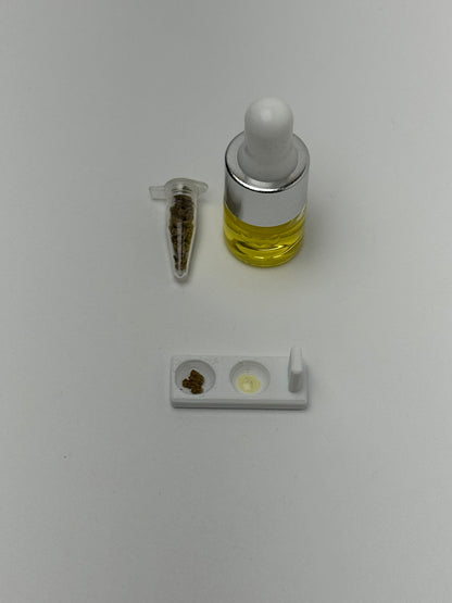 Ant Food